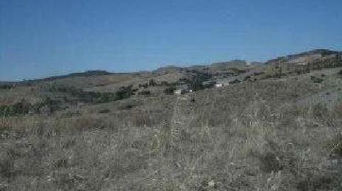 VELEZ-RUBIO (Almería). Paraje "Campillo-Lizarán".