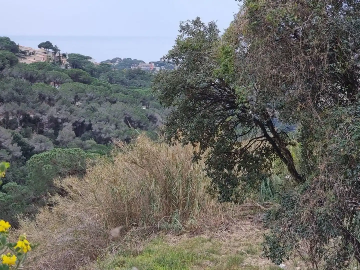 Terrenos y solares en venta en Serra Brava, imagen 19