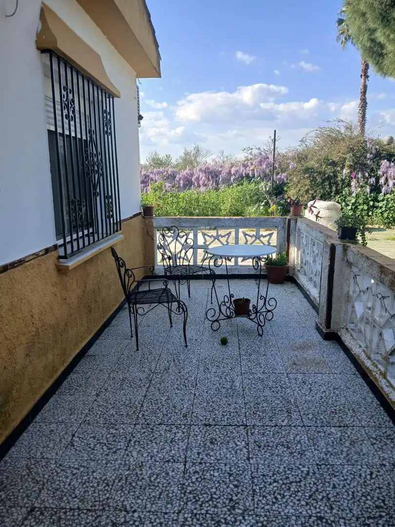 Chalet con piscina en venta en Gibraleón, imagen 14
