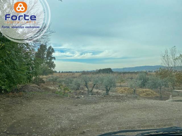 Terreno residencial en Venta en El Higuerón