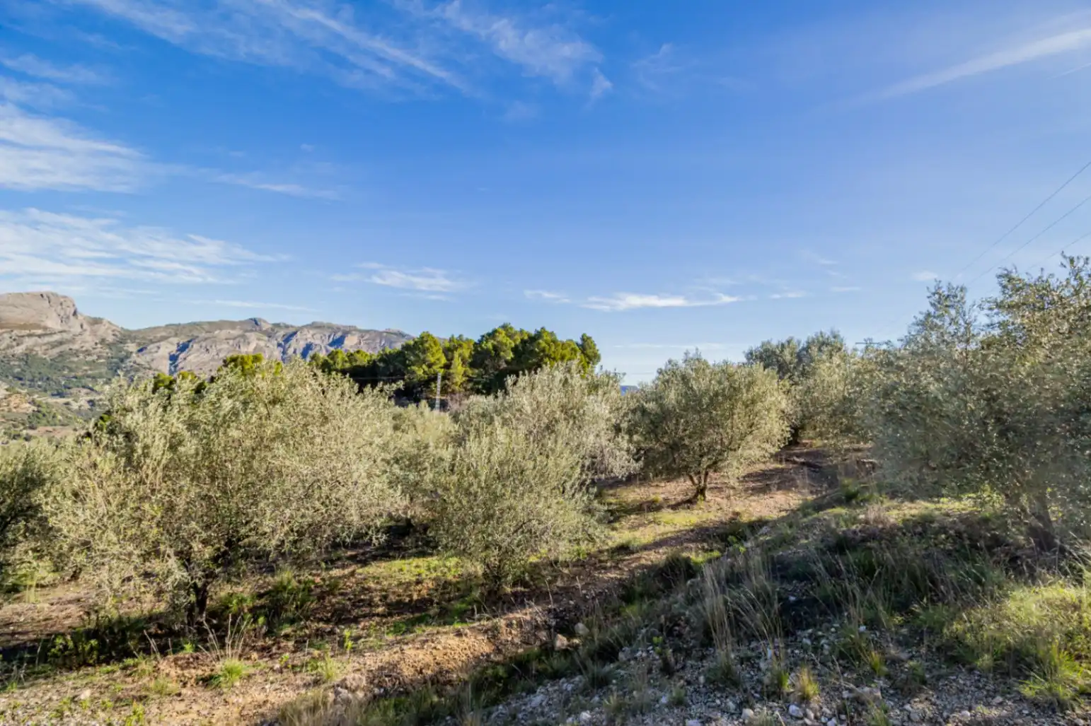 Terrenys i solars en venda a Benifato, imagen 8