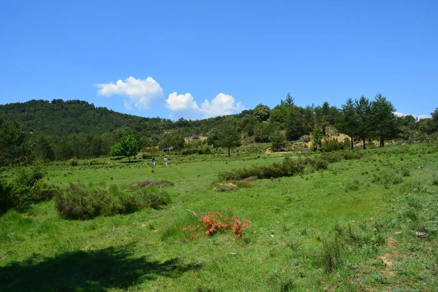 Casa rústica en venda a Campodarbe, imagen 17