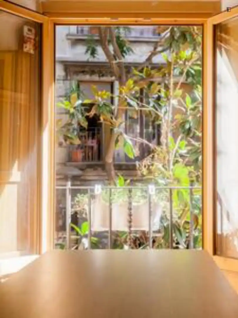 Studio à louer à Ciutat Vella, imagen 10