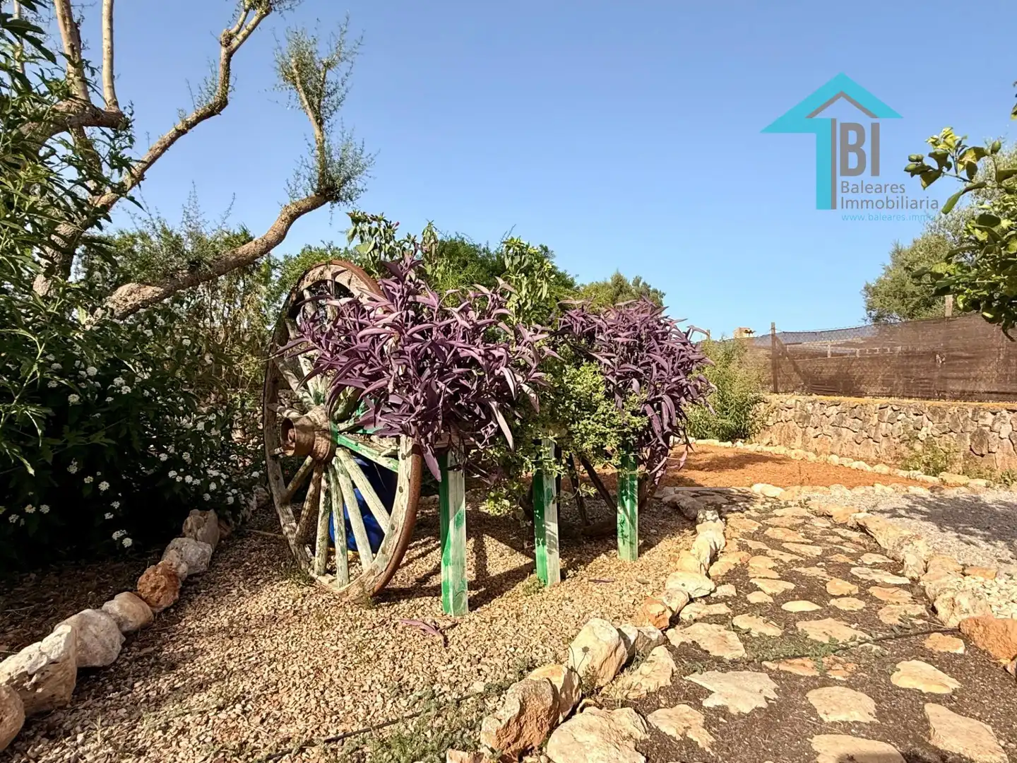 Jardín de Loft de alquiler en Felanitx