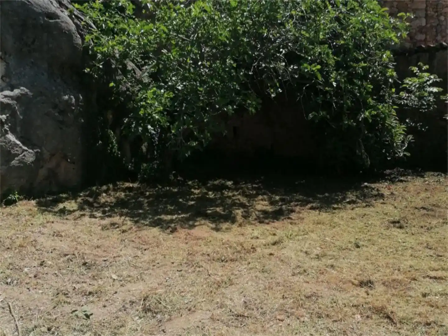 Finca rústica en venda en Arén