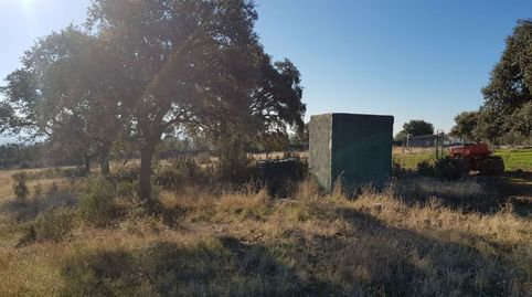 PARCELA CON CHALETS EN PLENA NATURALEZA, imatge 5
