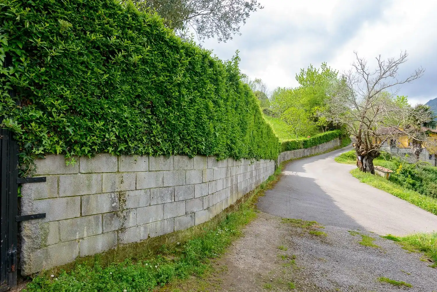 Exterior view of Land for sale in Mieres (Asturias)