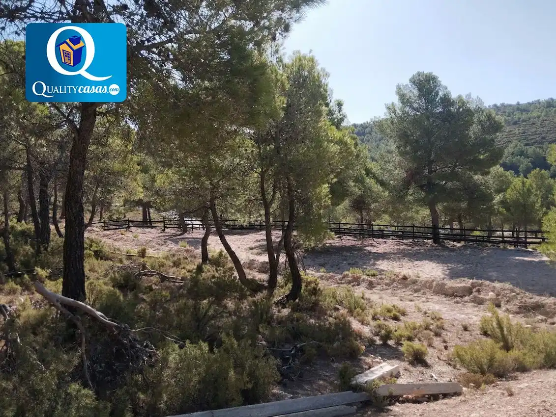Terrenys i solars en venda a Onil, imagen 14