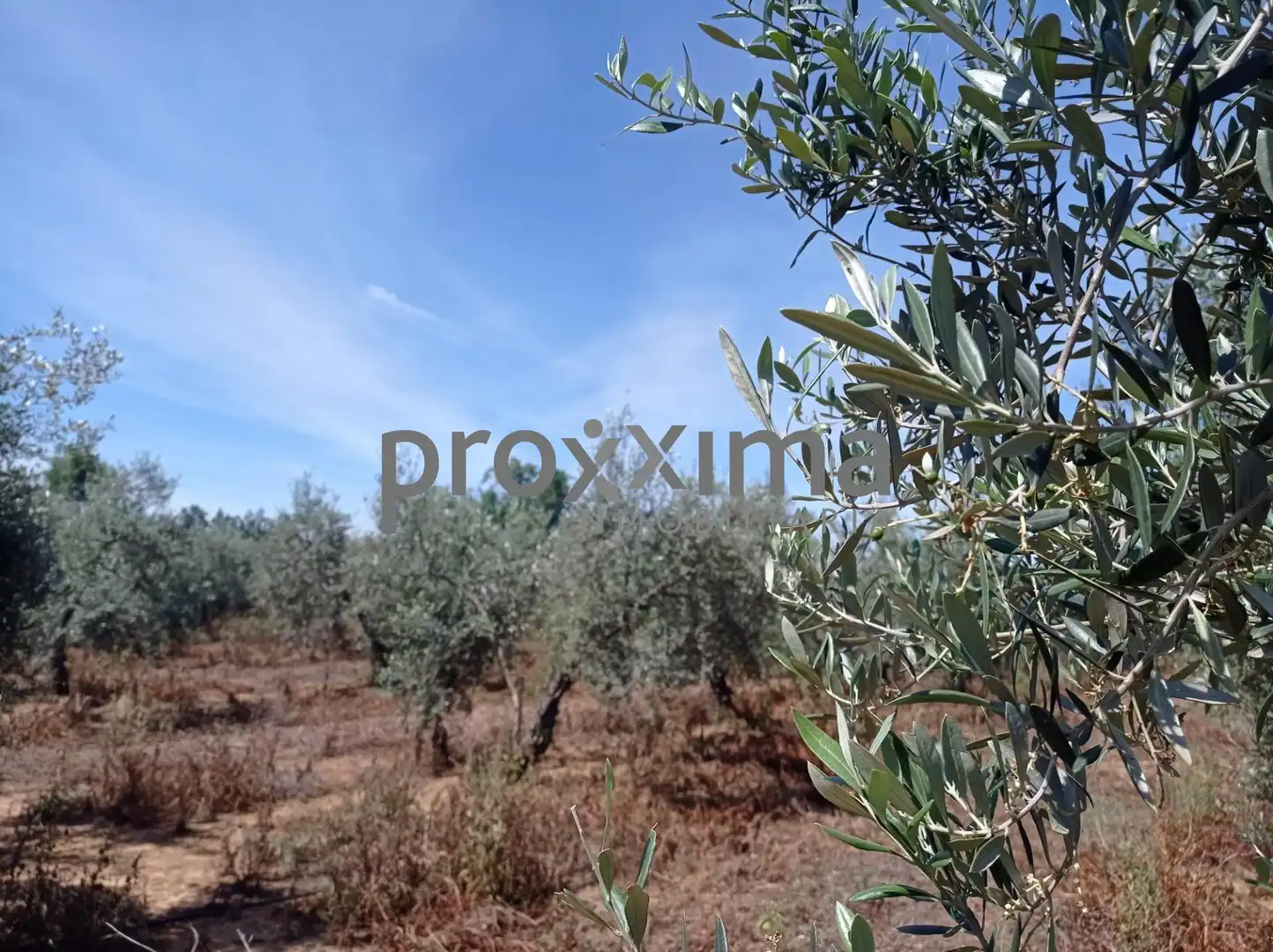Rural land for sale in La Paz