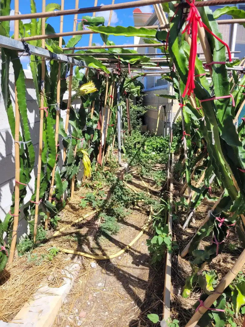 Adosado con terraza en venta en Calle Parque Central 5, imagen 22