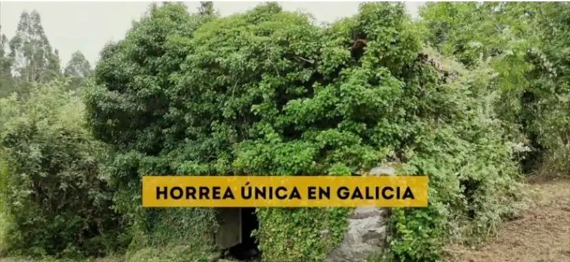 Casa rústica en venda a Agolada, imagen 6