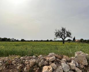 Finca rústica en venda en Algaida