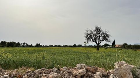 Encantadora finca rústica en Algaida