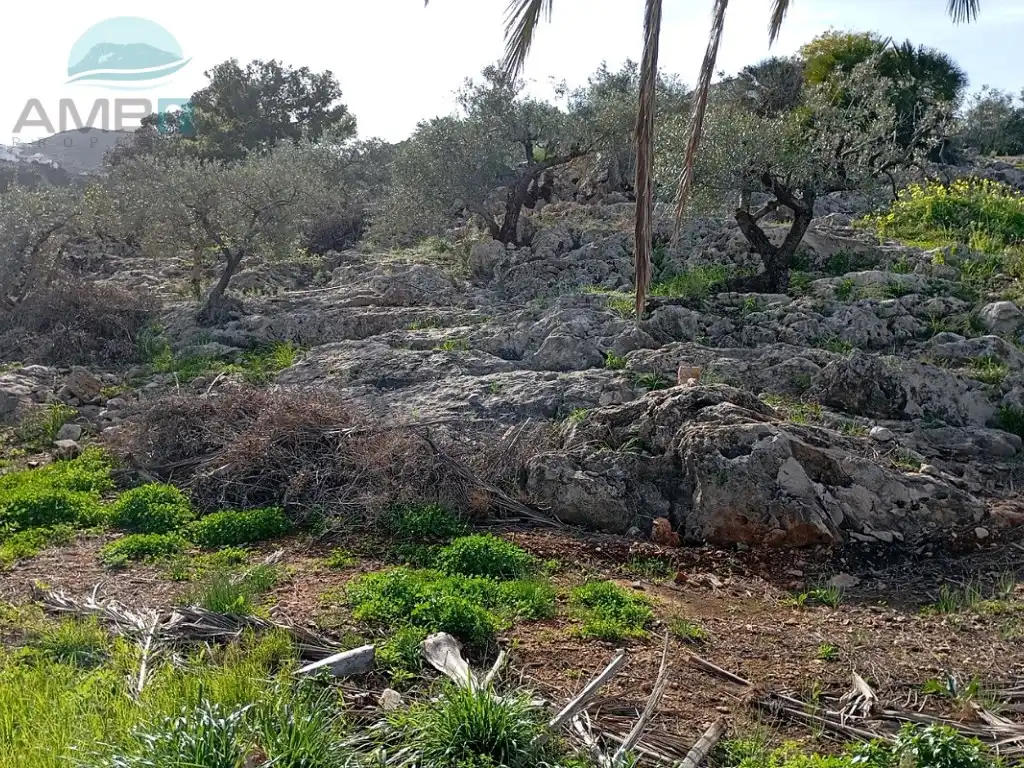 Rural land for sale in Partida racons, imagen 8