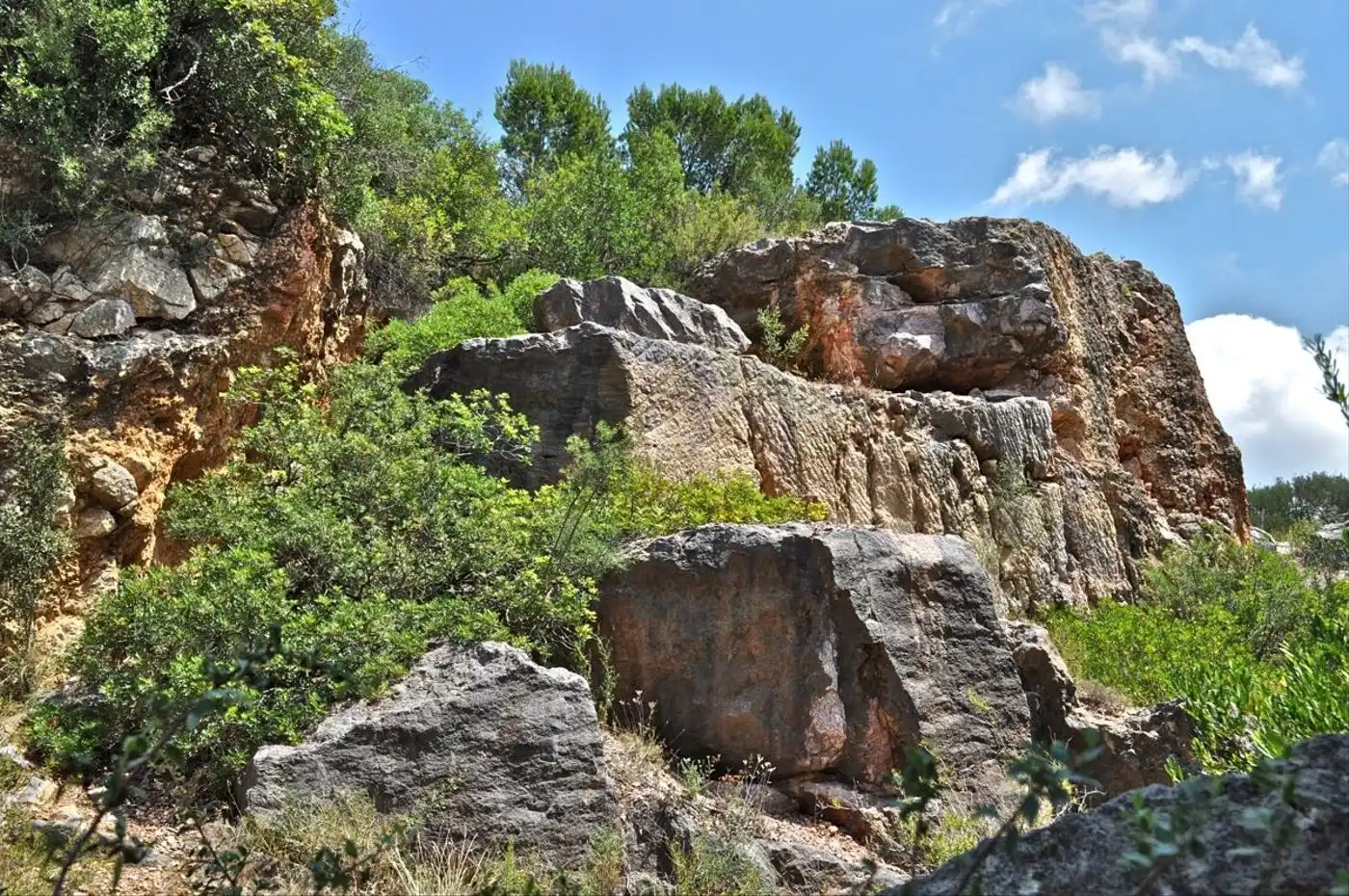 Land for sale in Camí del Barranc de la Llet, 26, Sant Llàtzer