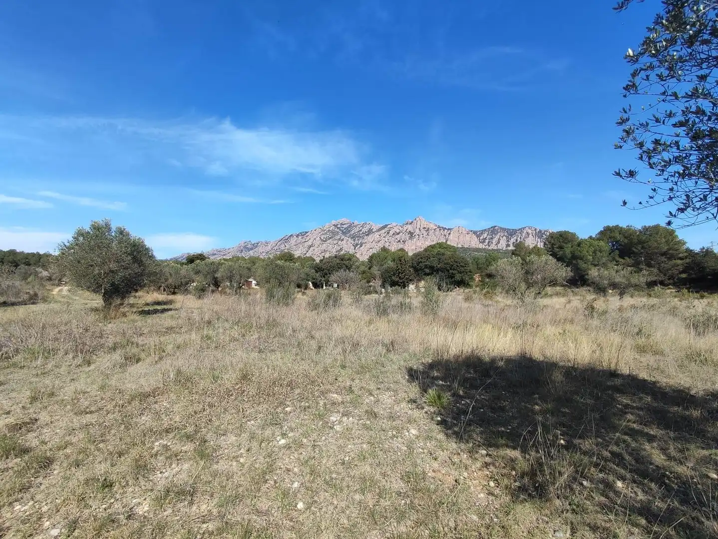 Country homes for sale in Collbató