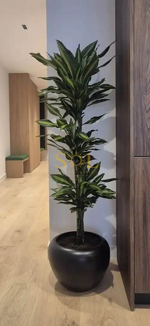 Piso con ascensor en venta en San Agustin, imagen 11