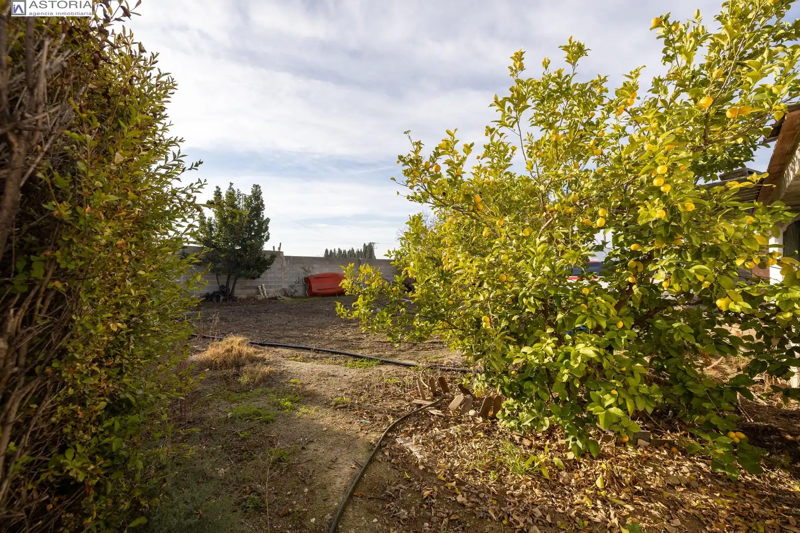 Casa rústica amb piscina en venda a Camino de las Tinajas, imagen 31