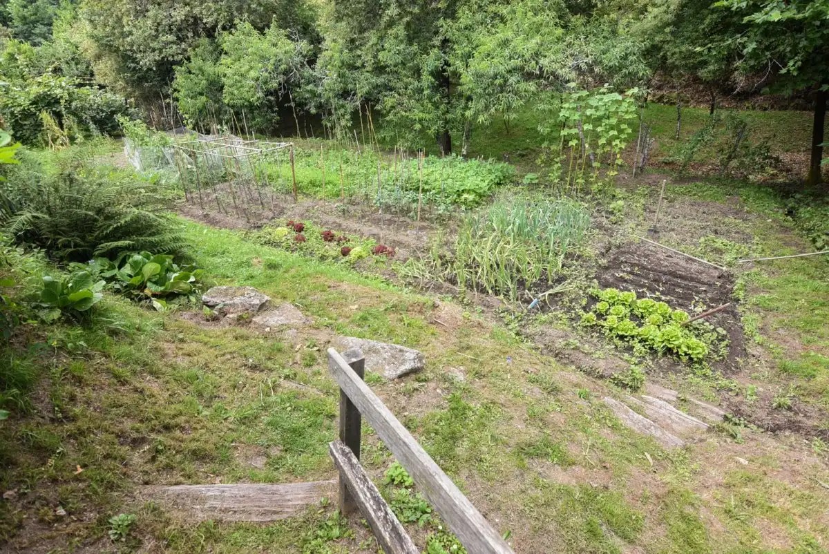 Jardí de Casa o xalet en venda en Mondariz amb Jardí privat, Terrassa i Traster
