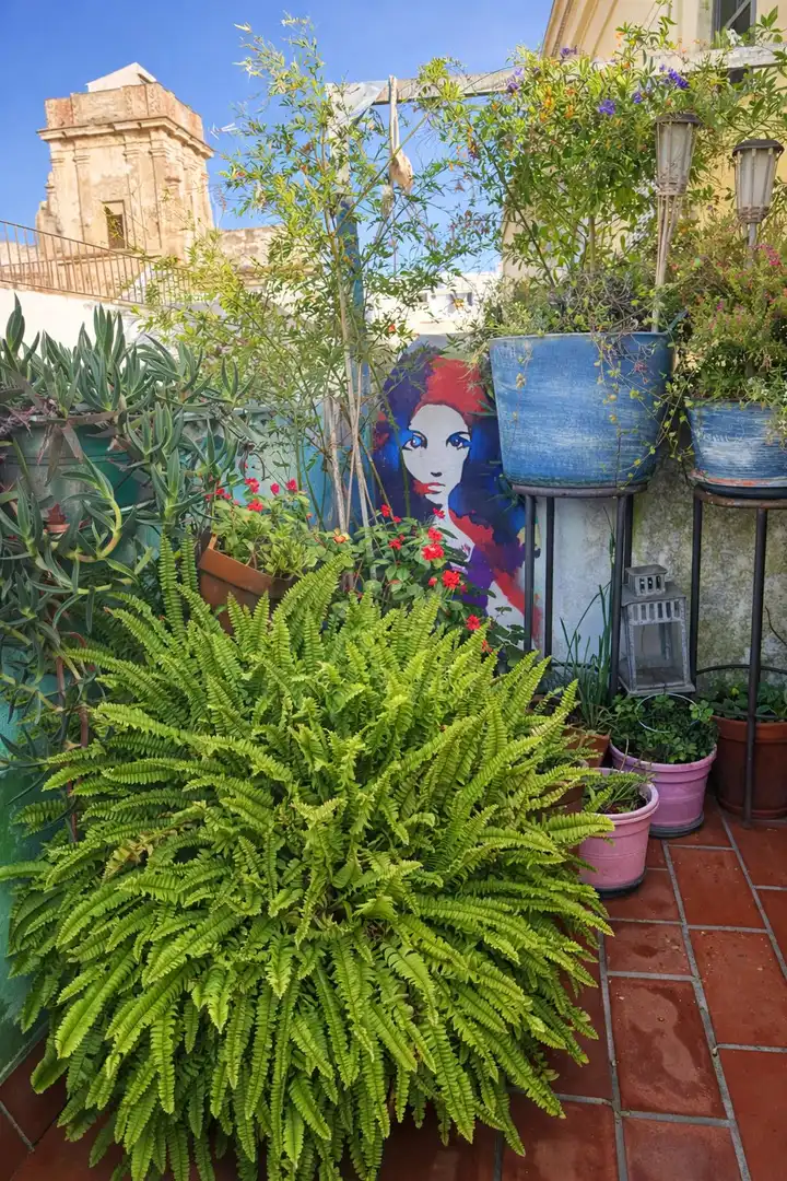 Àtic en venda a Tarifa ciudad, imagen 25