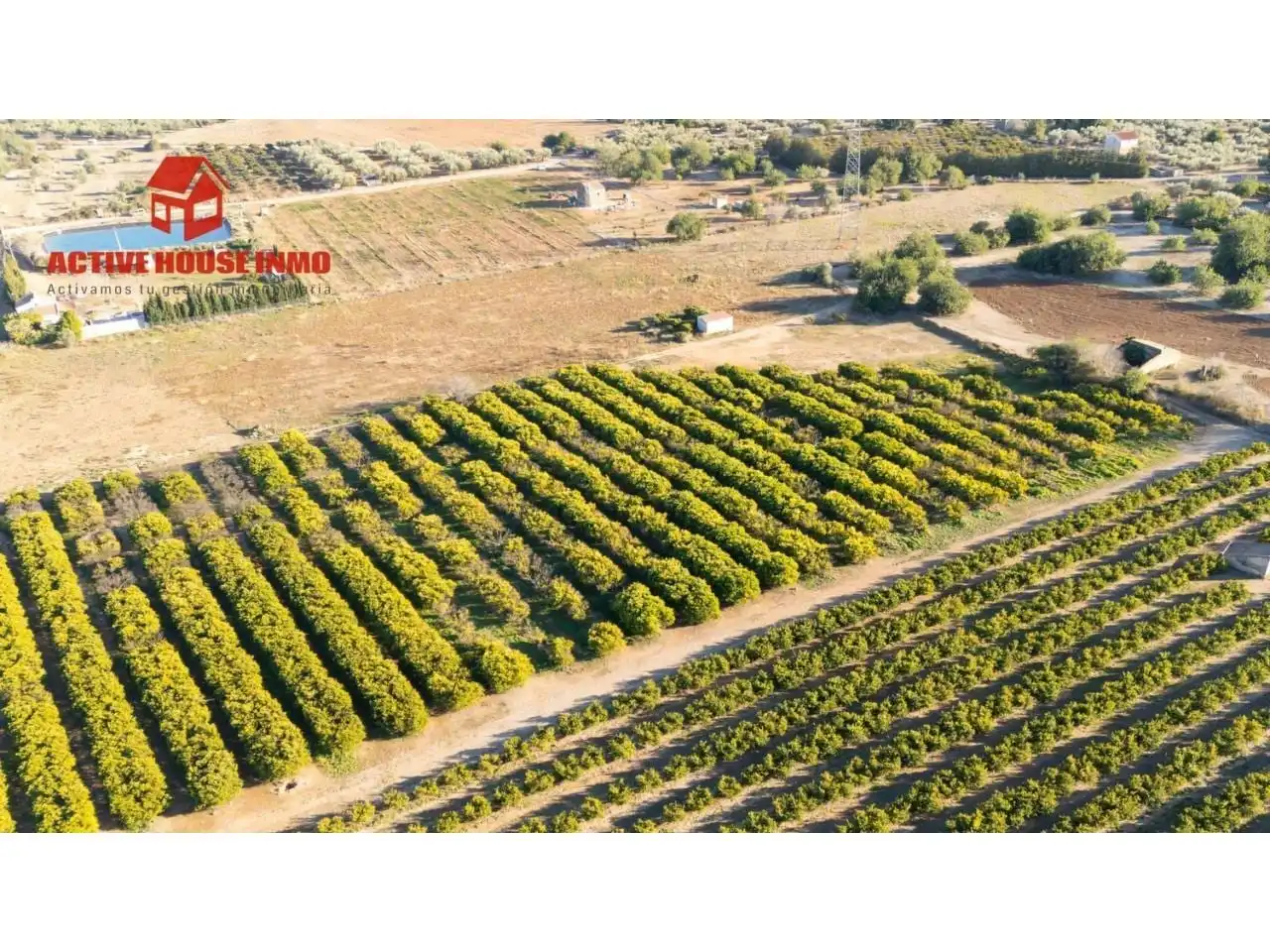 Terreno rustico in vendita a Calle Pol 12 Parc 100, imagen 17