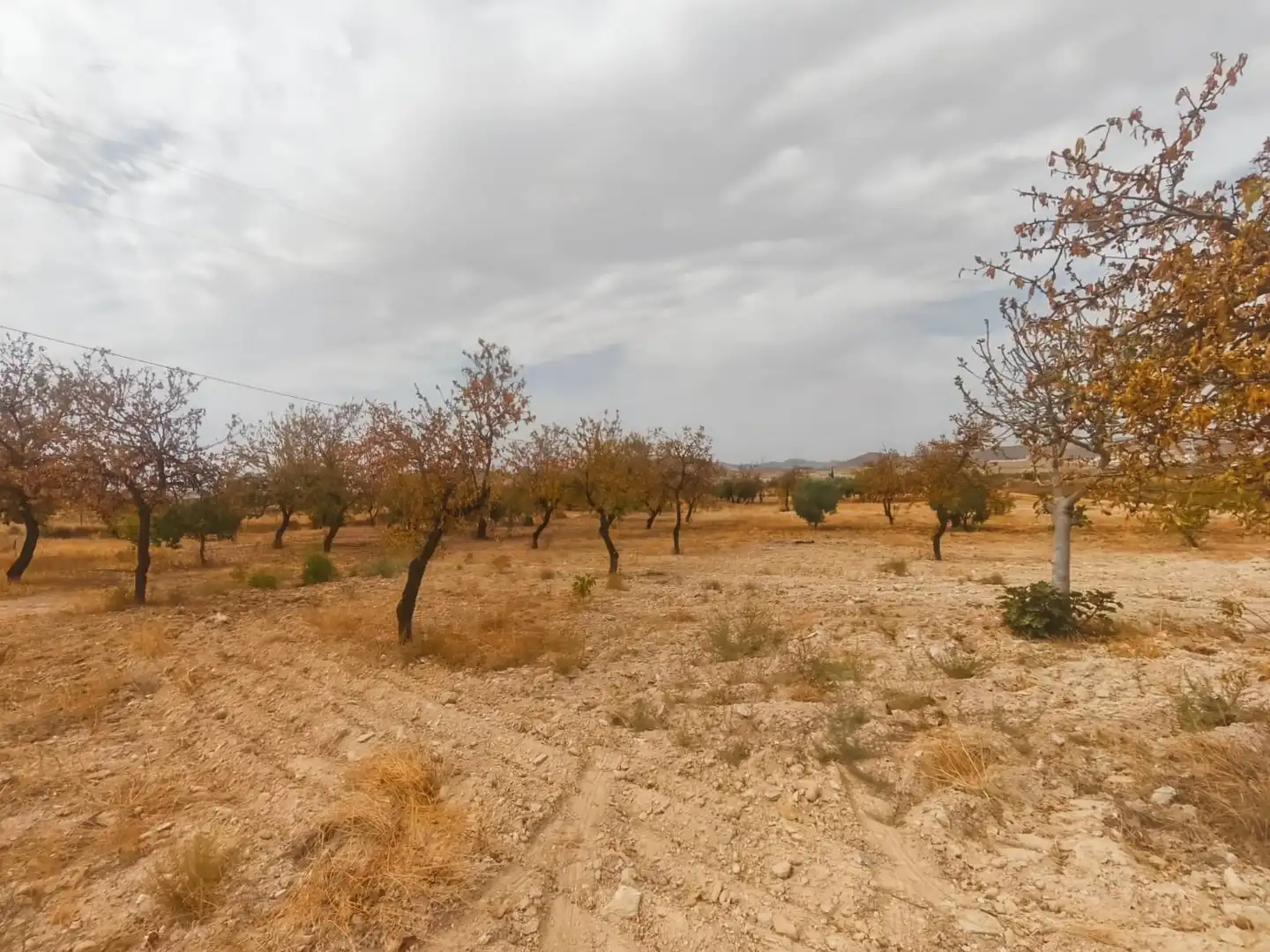 Rustikales Grundstück zum Verkauf in Uleila del Campo