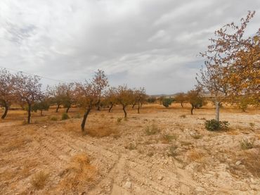 Rustikales Grundstück zum Verkauf in Uleila del Campo