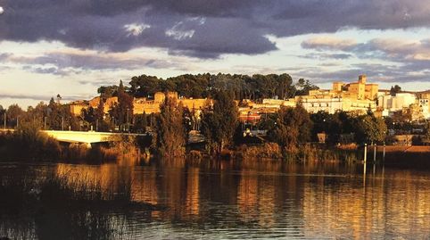 Foto 4 de Pis en venda a Cl Melendez Valdes, Casco Antiguo, Badajoz Capital