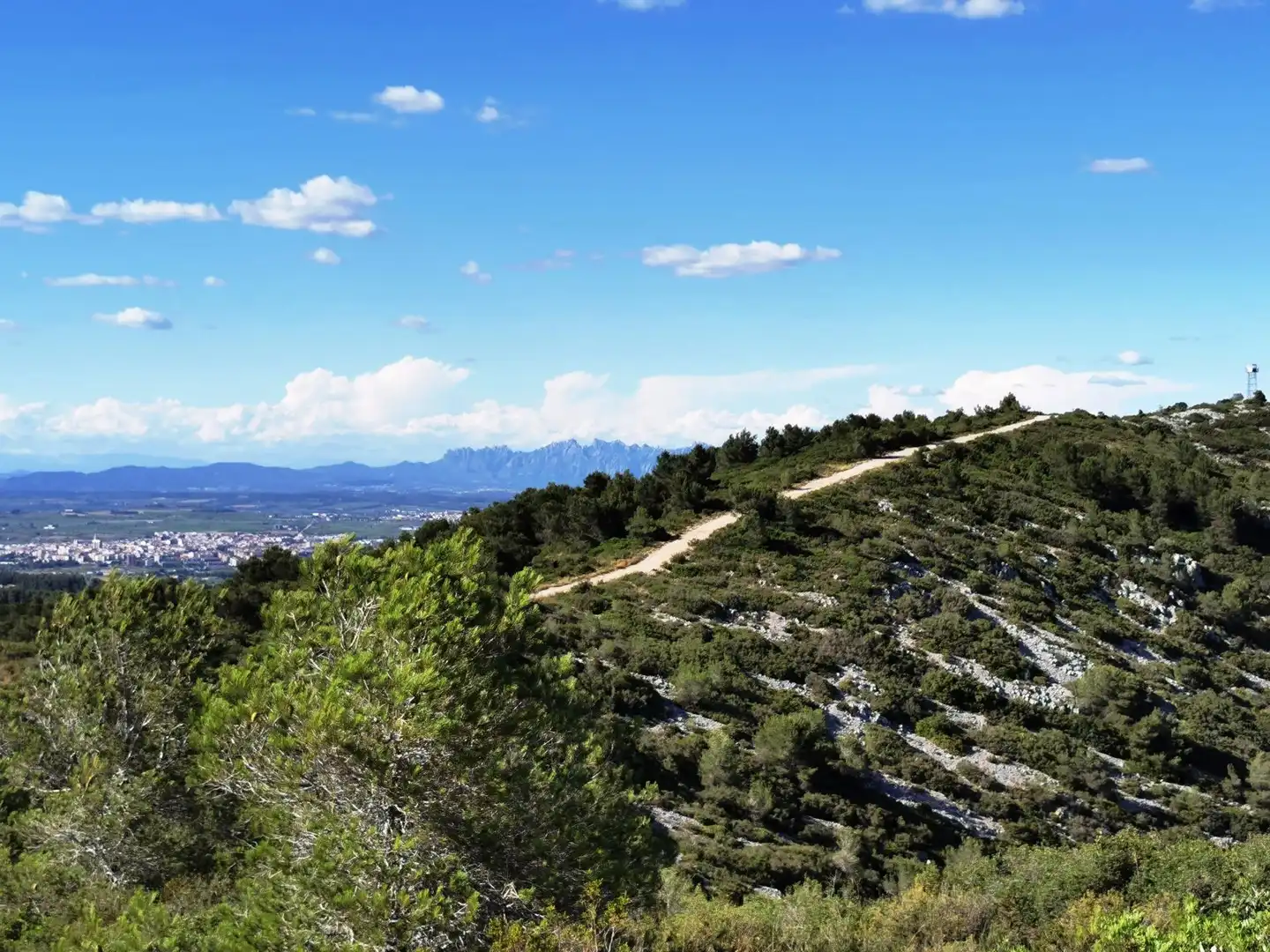 Vista exterior de Casa o chalet en venta en Olèrdola con Aire acondicionado, Calefacción y Jardín privado