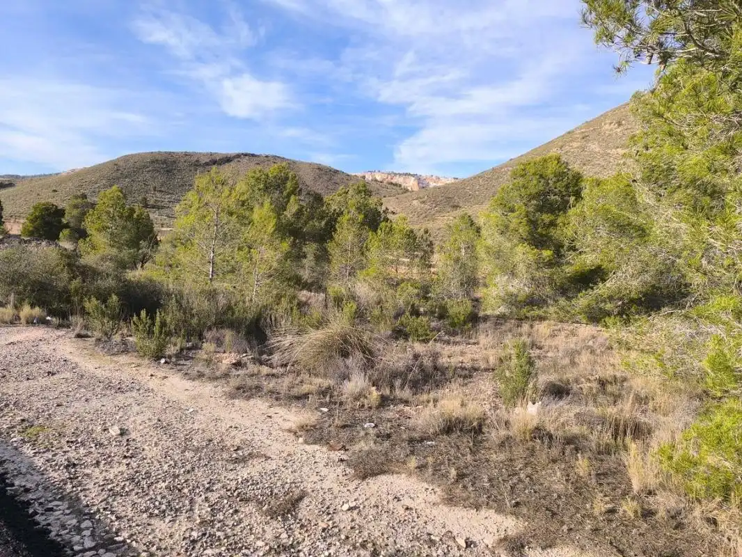 Rural land for sale in Poligono 4, parcela 190, imagen 4
