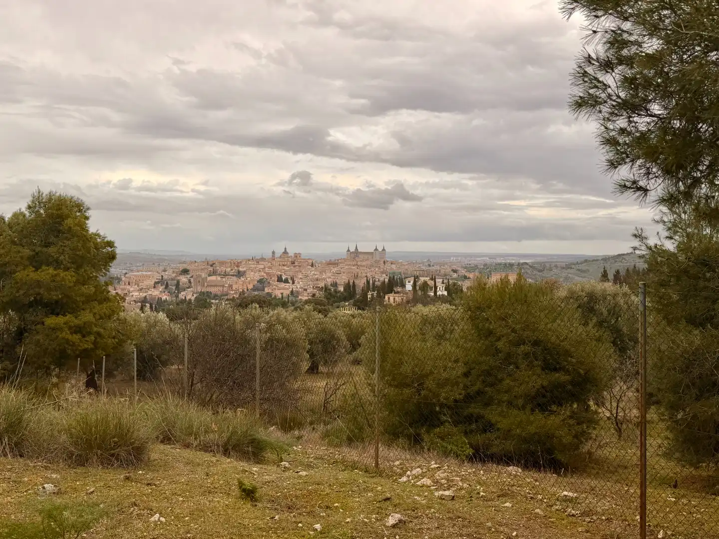 Terreny rústic en venda a Los Cigarrales - La Bastida, imagen 20