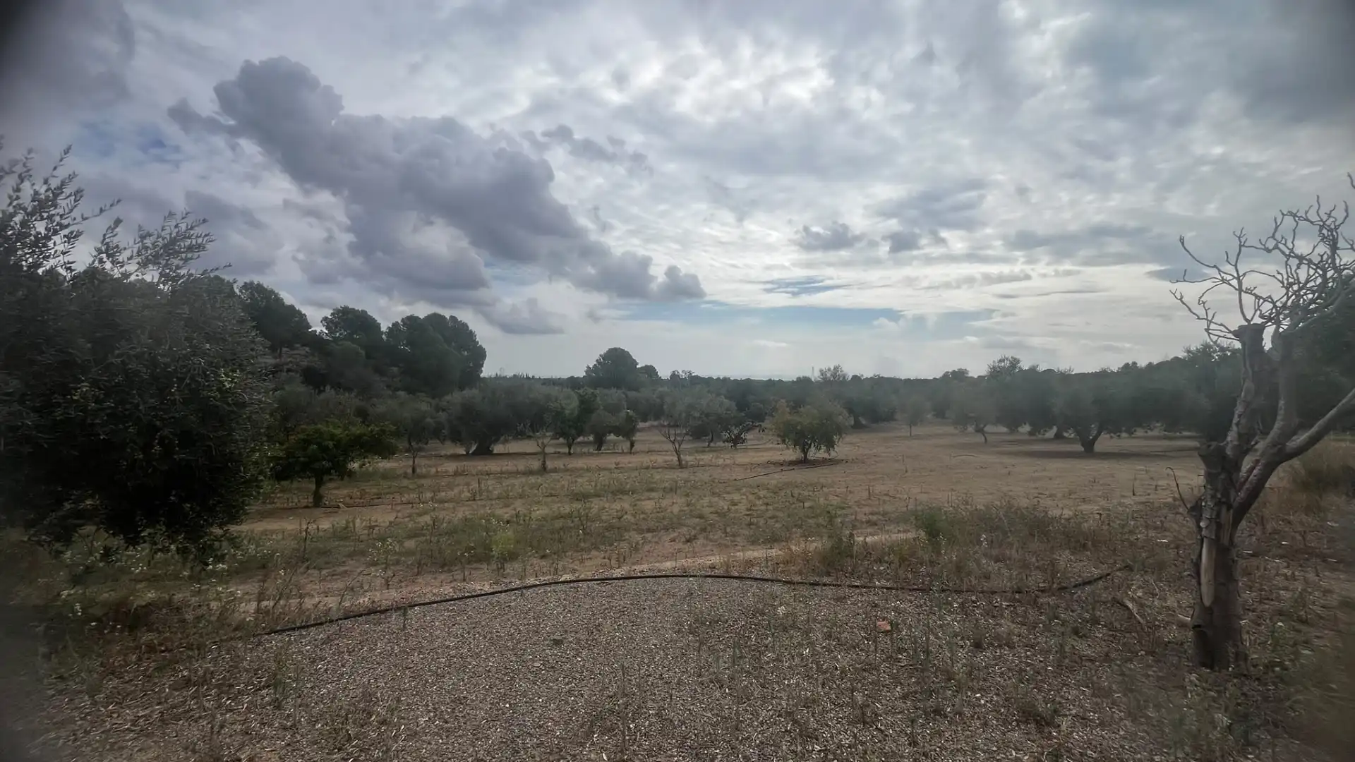 Terreno rustico in vendita a Carrer de Sant Abdó i Sant Senén, imagen 42