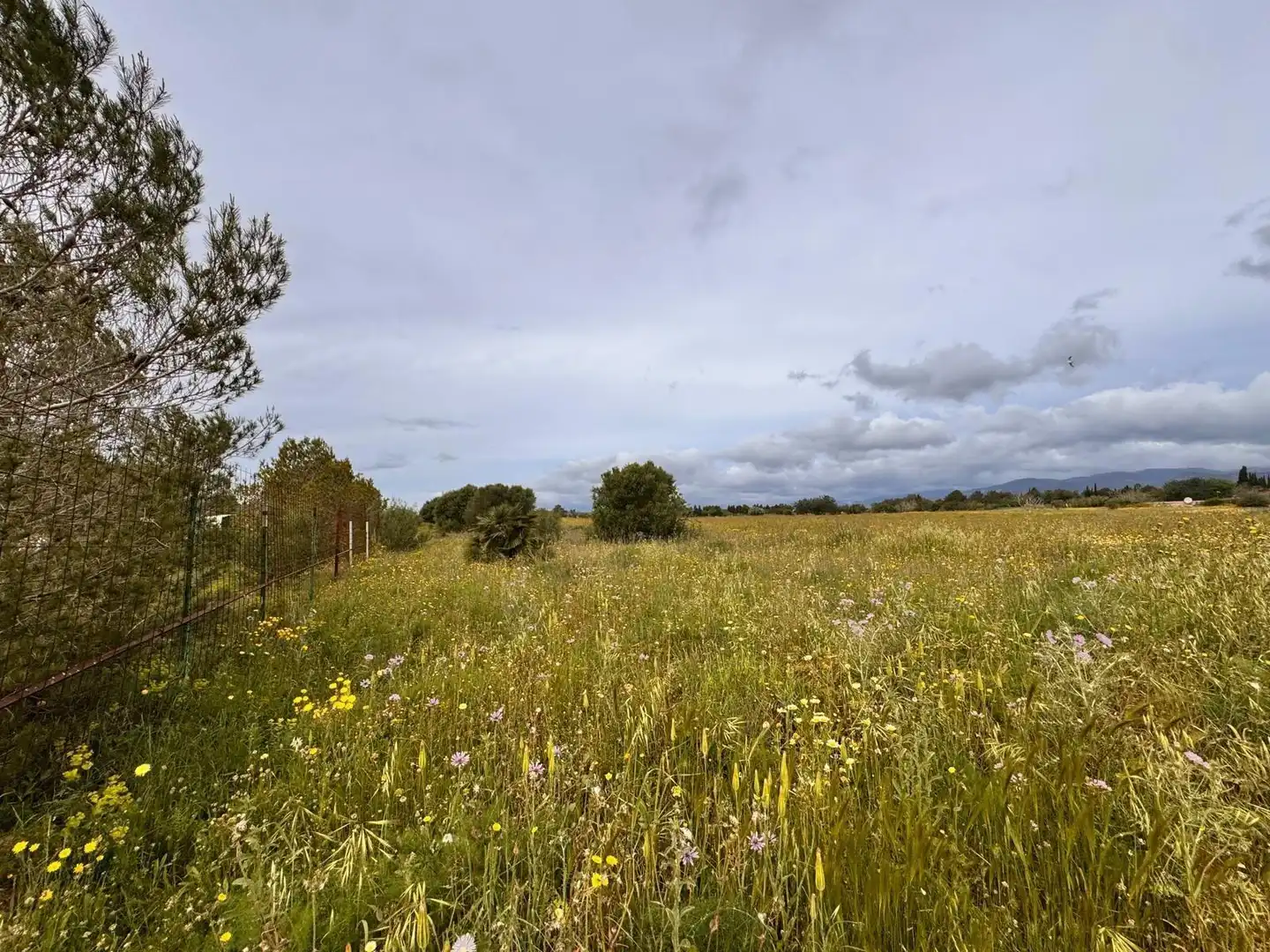 Fabrik Grundstücke zum Verkauf in Santa Eugènia