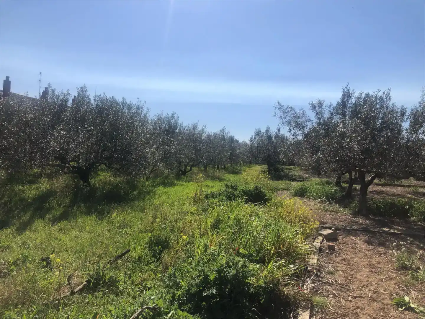 Finca rústica en venda en Olite / Erriberri
