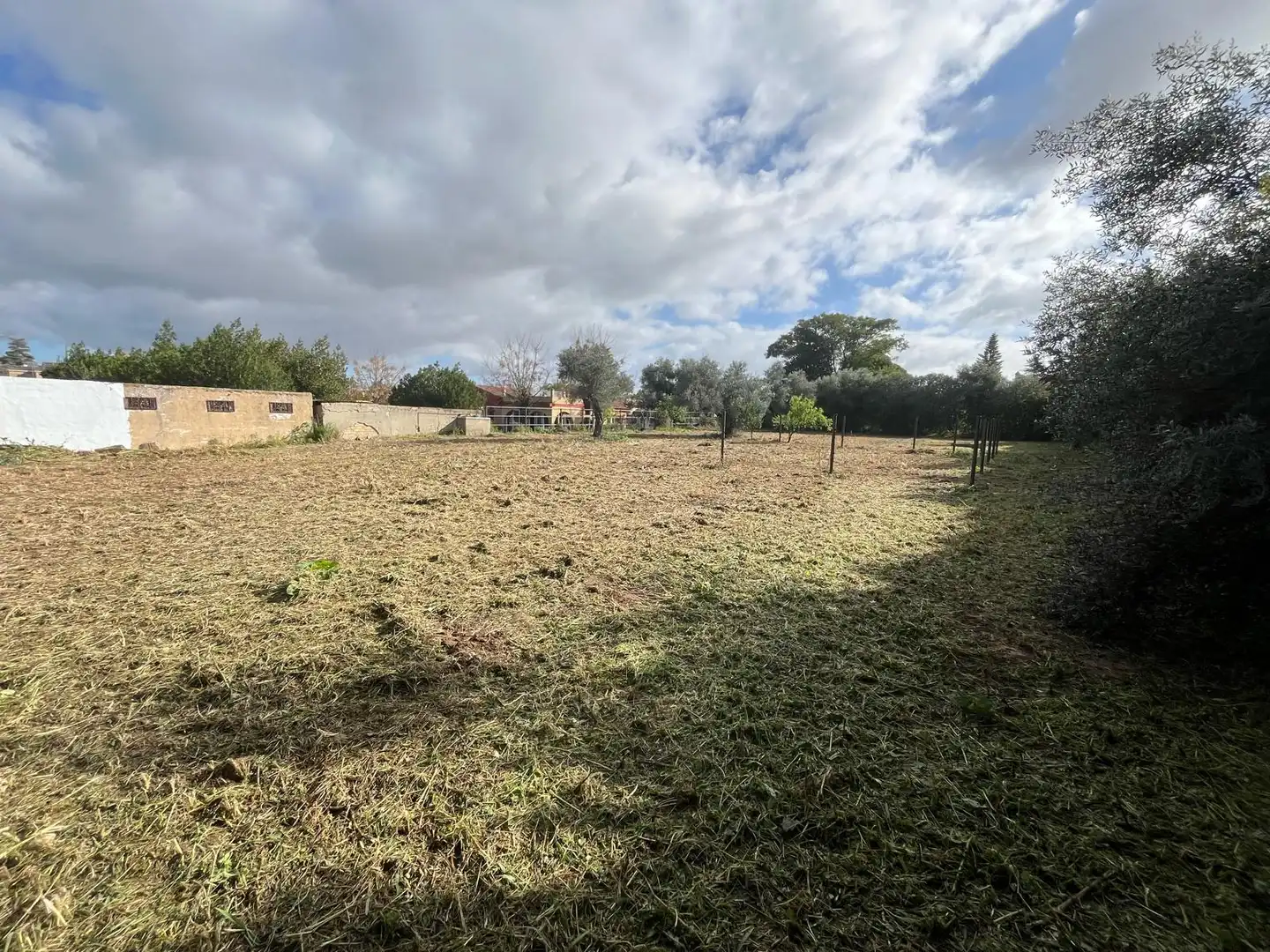 Residential for sale in Palomares del Río