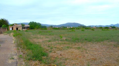 Finca rústica con caseta de herramientas en Muro, immagine 2