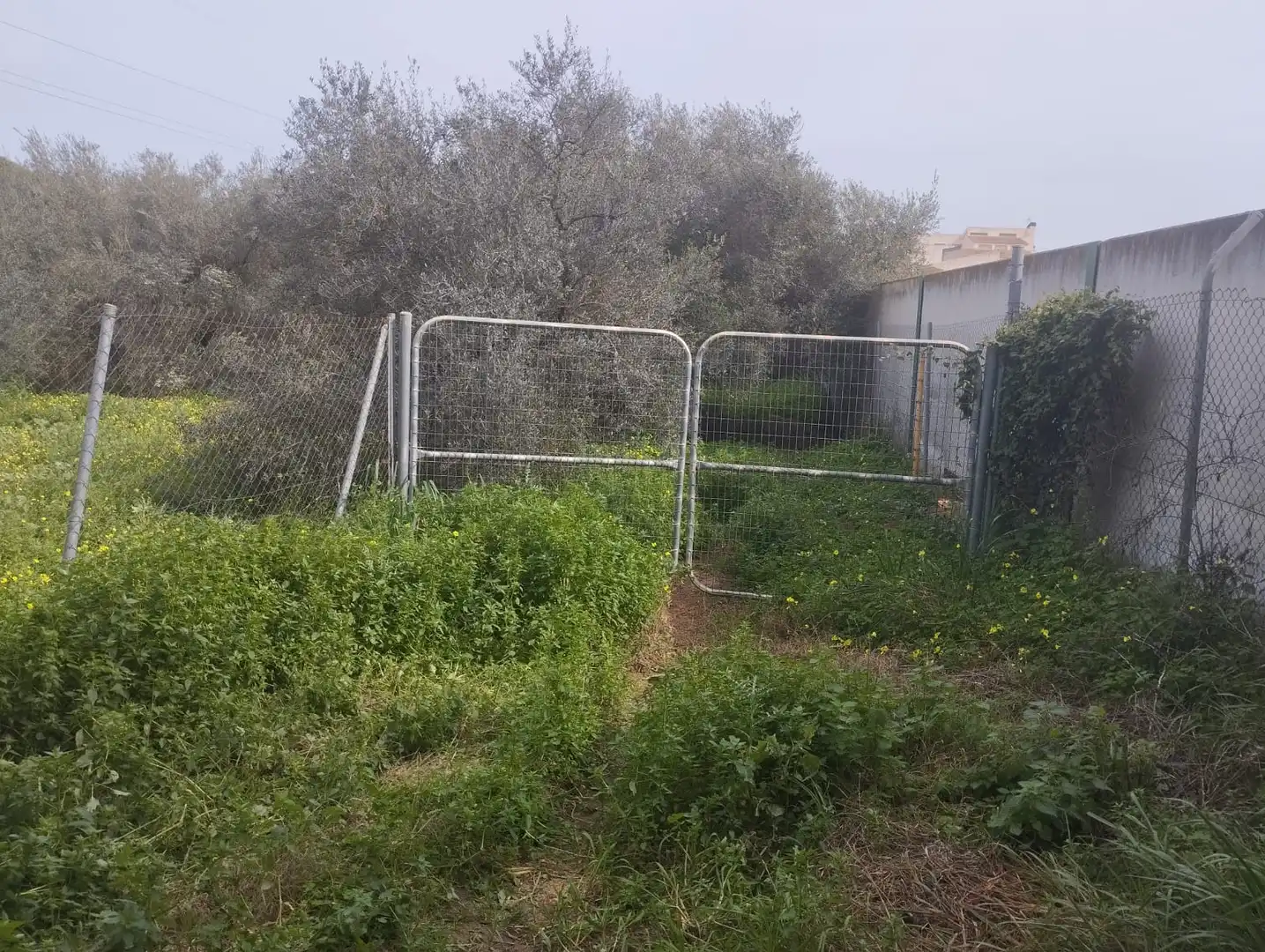 Terreni e lotti in vendita a Sanlúcar la Mayor, imagen 4