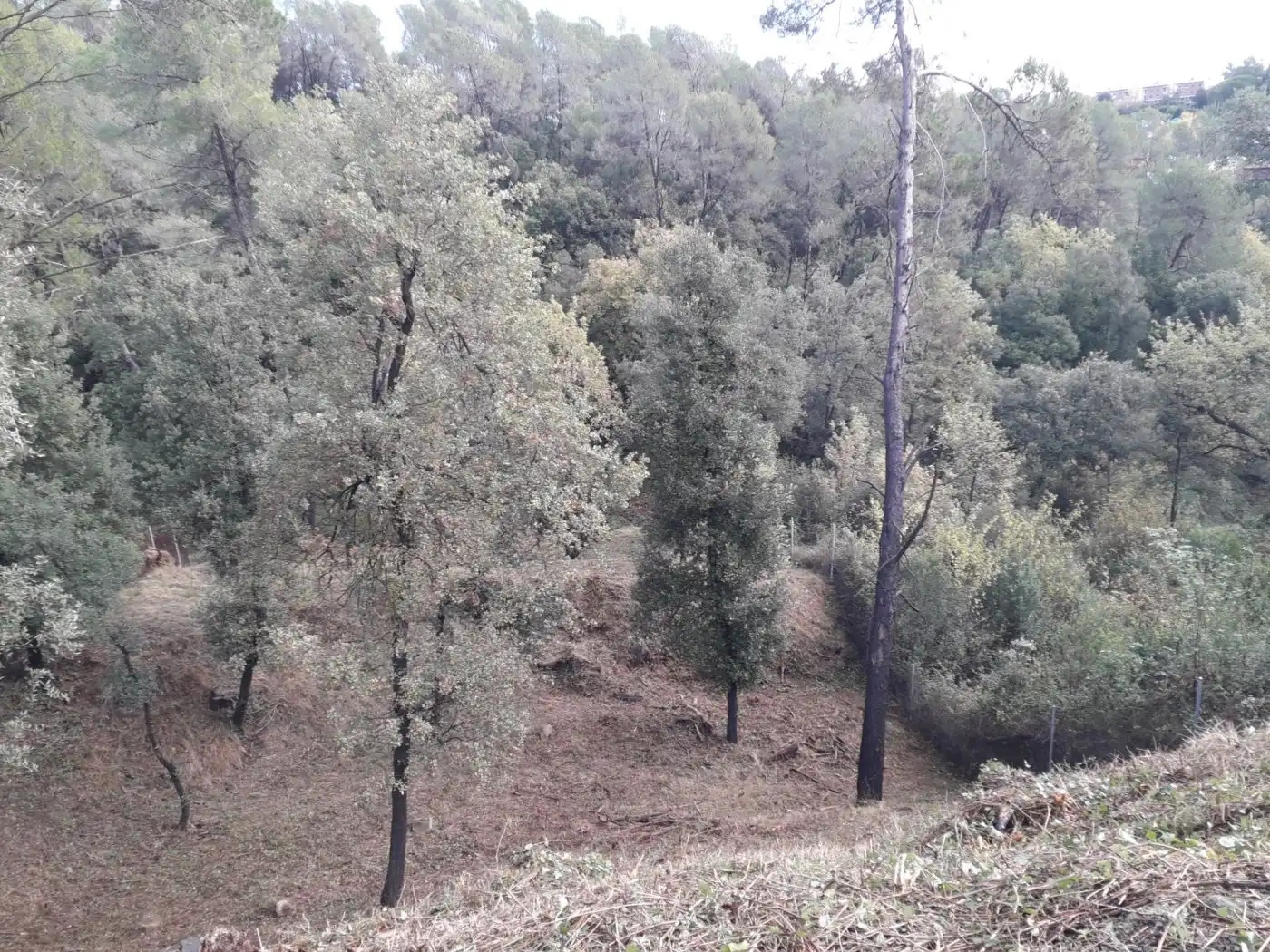 Wohnbaugrundstück zum Verkauf in can canyameres, imagen 14