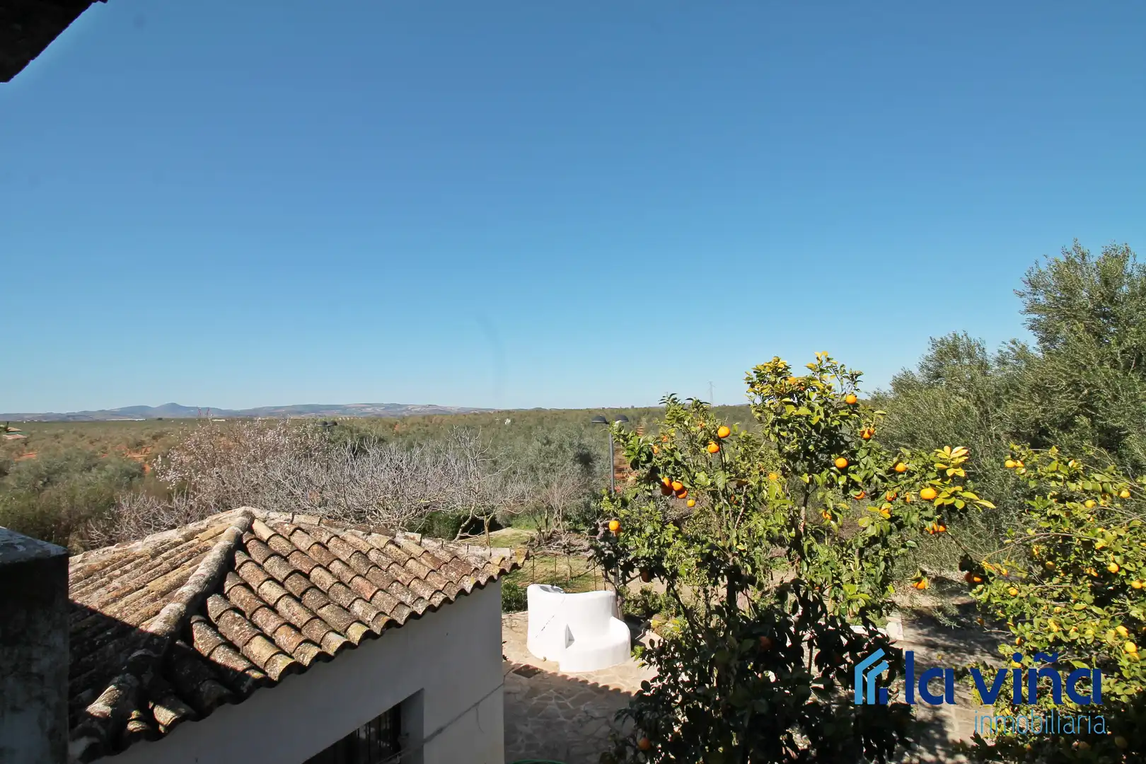 Vista exterior de Finca rústica en venta en Martín de la Jara con Aire acondicionado, Jardín privado y Trastero