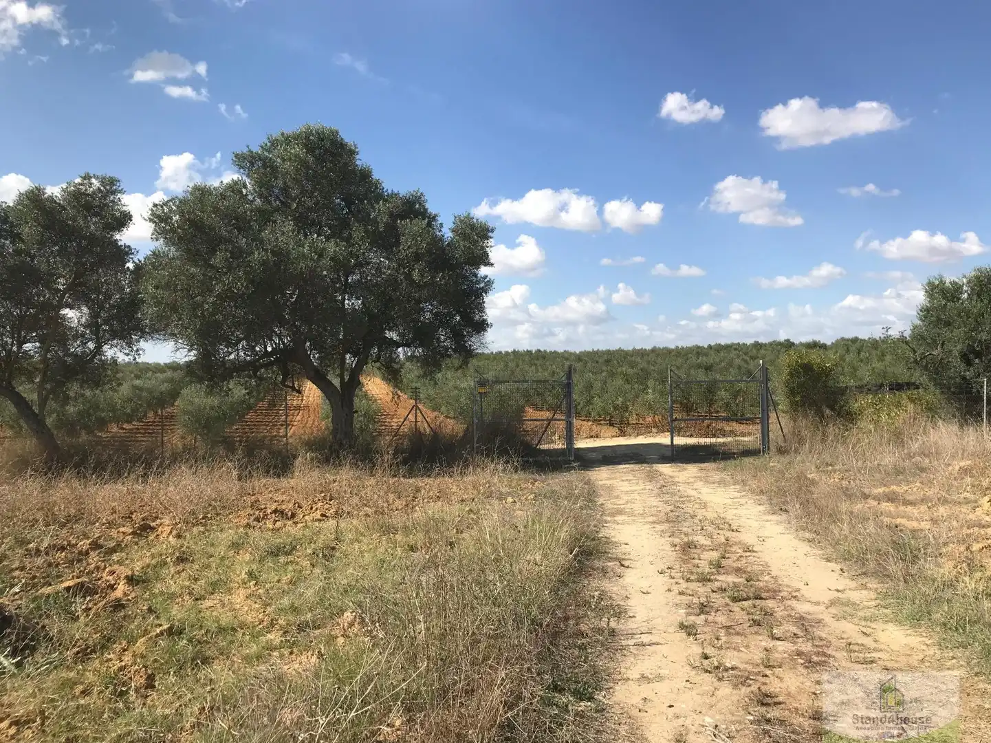 Finca rústica en venda en Rociana del Condado amb Terrassa i Traster