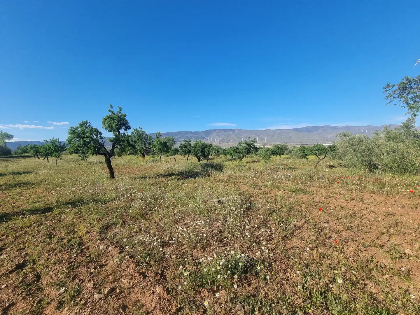 Terreno en venta en Abrucena