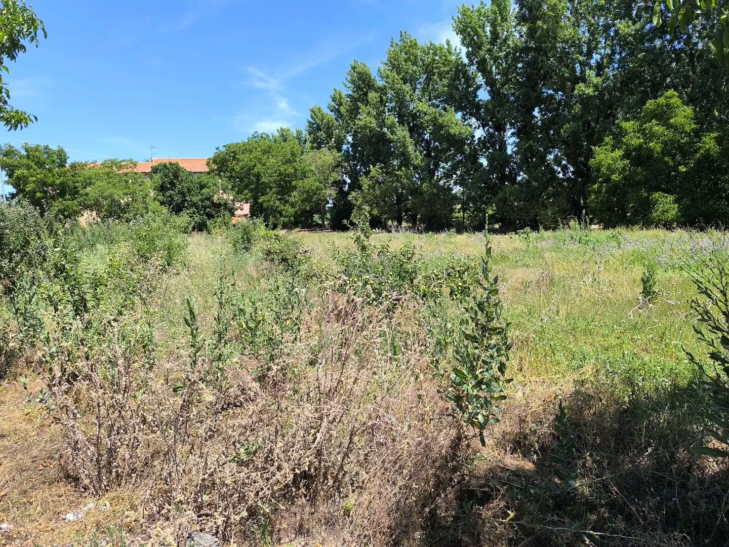 Residencial en venta en San Millán de los Caballeros