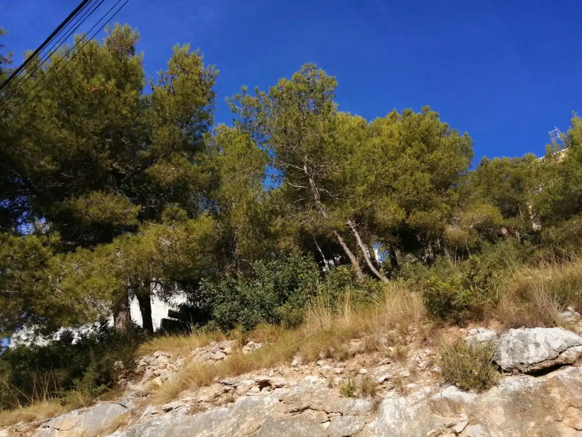 Residential land for sale in Llevantina - Montgavina - Quintmar, imagen 3