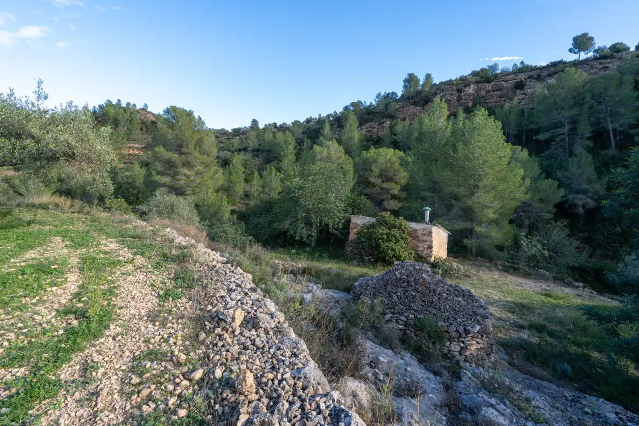 Terrain rustique à vendre à Tivenys, imagen 4