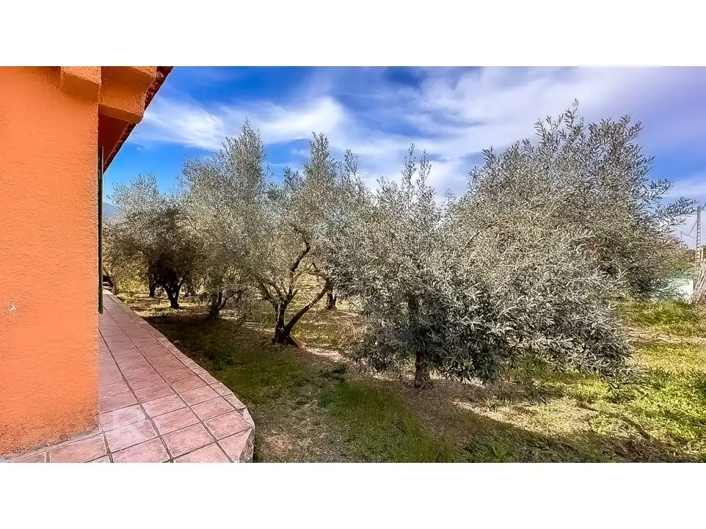 House for sale in Benicolet, imagen 31