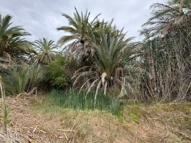 Maison rustique avec jardin à vendre à Pasaje de Abanilla 11, imagen 41