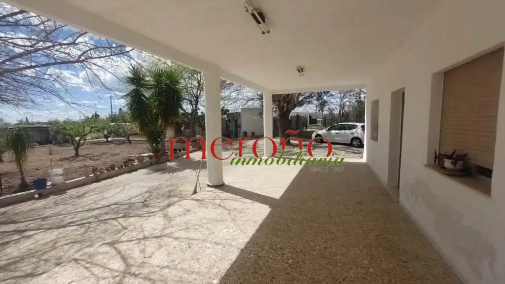 Vista exterior de Casa o chalet en venta en Elche / Elx