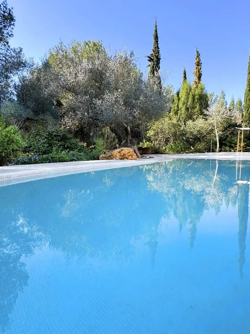 Swimming pool of Country homes for sale in Alcalà de Xivert  with Heating, Private garden and Swimming Pool