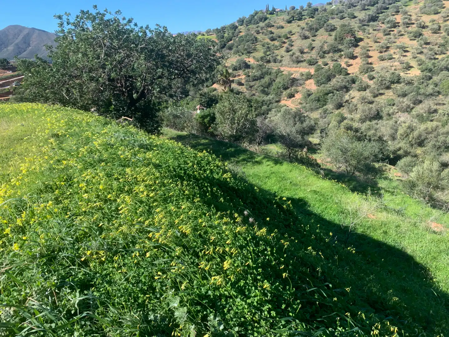 Terreni e lotti in vendita a Diseminado Atalaya 105, imagen 4