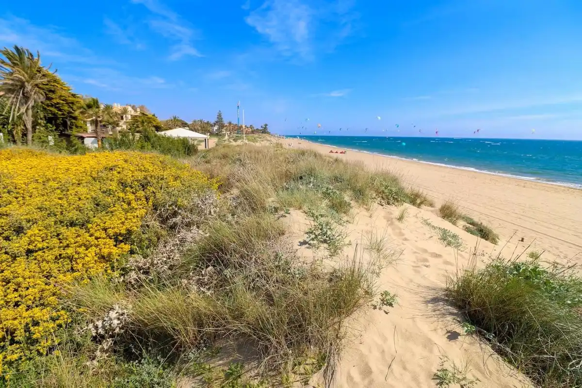Pis en venda a Río Real - Los Monteros, imagen 34